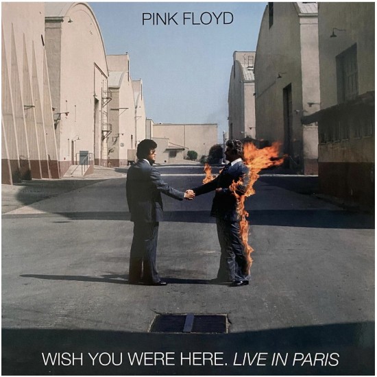 Pink Floyd Plak 